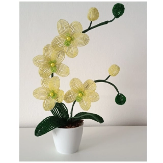 Orchidej z korálků žlutá, zelená